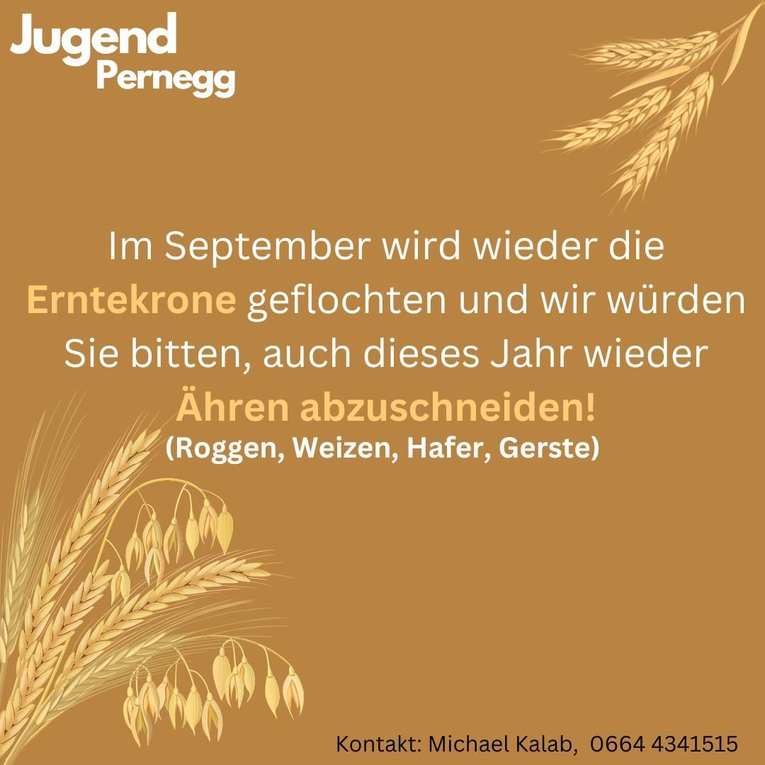 Plakat mit braunem Hintergrund, das Jugend Pernegg zeigt. Es erwähnt, dass im September Getreide geerntet wird und lädt ein, beim Schneiden der Ähren zu helfen. Kontakt: Michael Kalab, 0664 4341515.