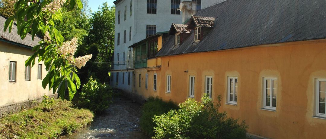 Ein Fluss fließt durch eine Stadt mit zwei Gebäuden, eines weiß und eines gelb, umgeben von Bäumen und Pflanzen.