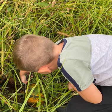 Bild enthält, Grass, Boy, Child, Male, Person, Vegetation, Hiding, Photography, Herbal, Outdoors