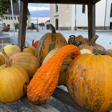 Bild enthält, Food, Plant, Produce, Squash, Vegetable, Pumpkin