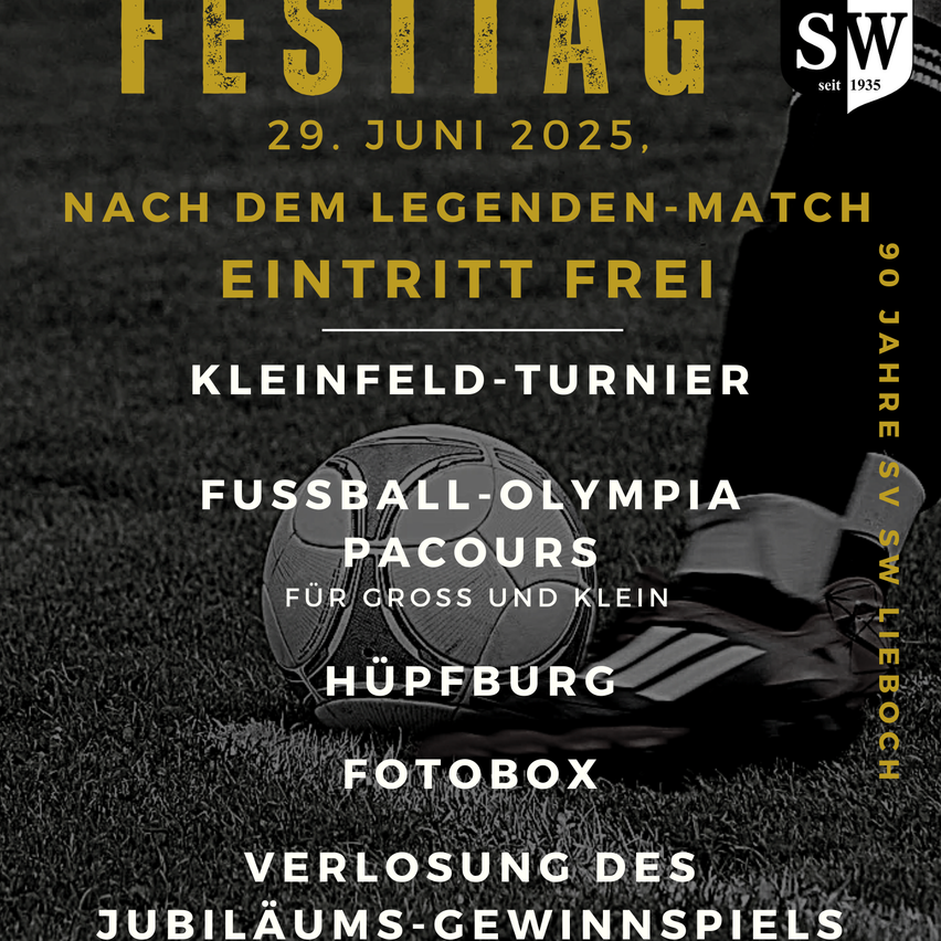 Bild enthält, Advertisement, Poster, People, Person, Ball, Rugby, Rugby Ball, Sport