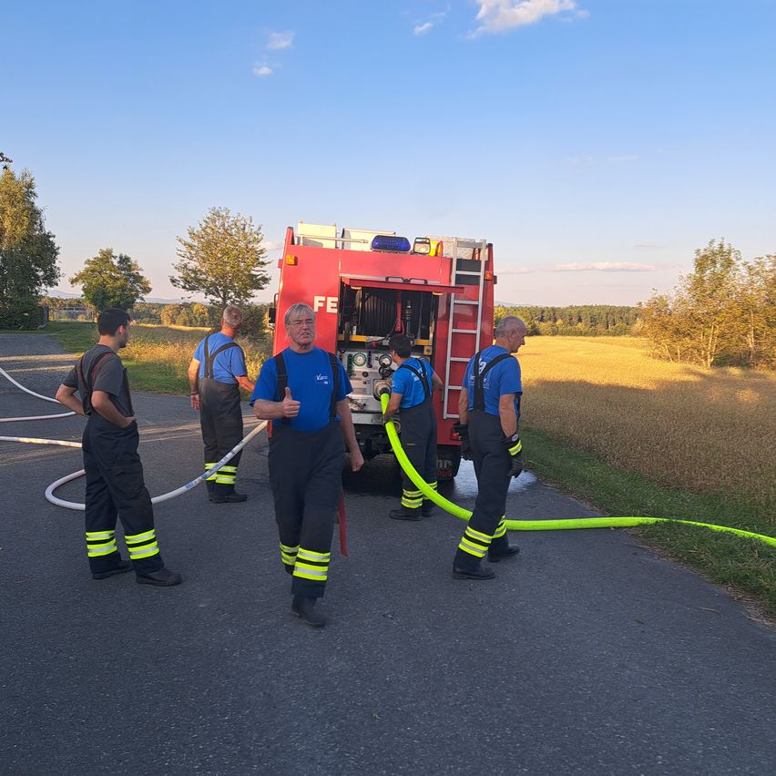 Bild enthält, Adult, Male, Man, Person, Clothing, Footwear, Shoe