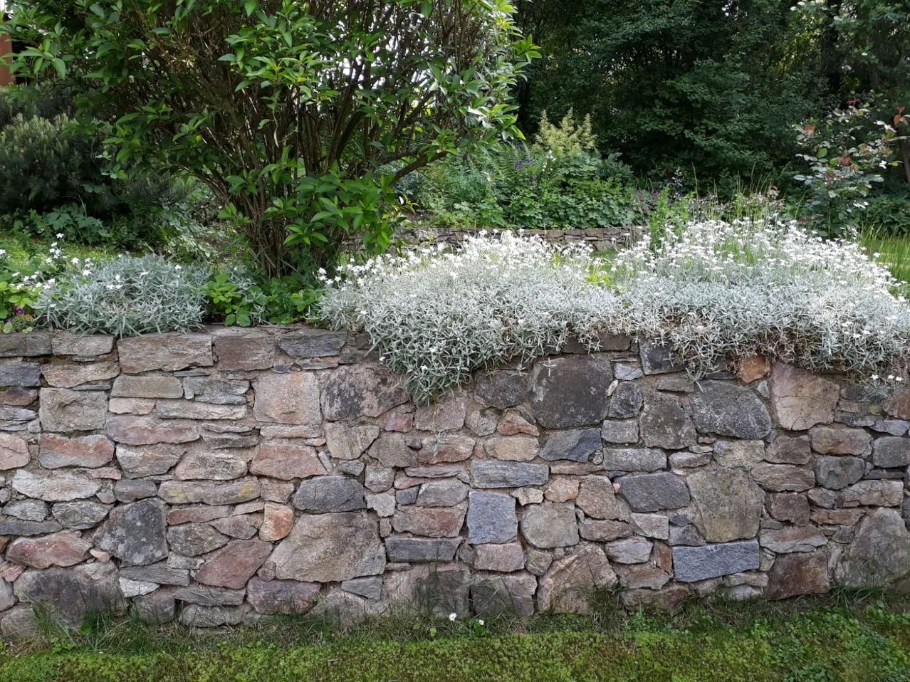 Bild enthält, Architecture, Building, Wall, Plant, Vegetation, Stone Wall, Rock