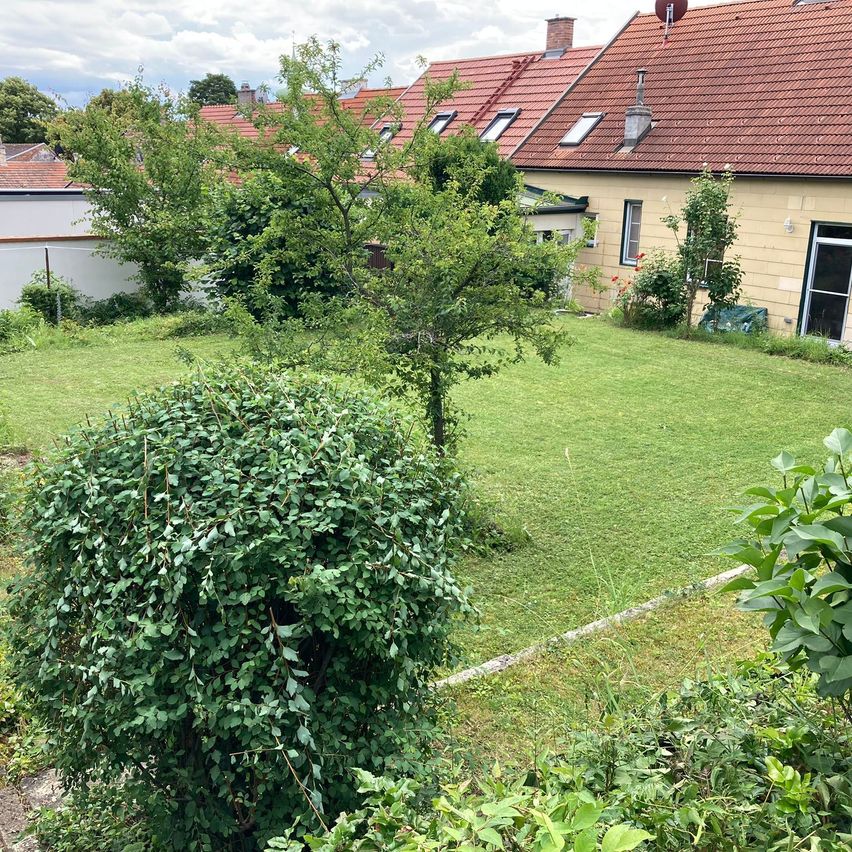Bild enthält, Backyard, Nature, Outdoors, Yard, Plant, Vegetation, Grass, Garden, Building, Housing