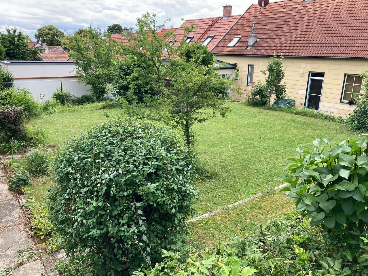 Bild enthält, Backyard, Nature, Outdoors, Yard, Plant, Vegetation, Grass, Garden, Building, Housing
