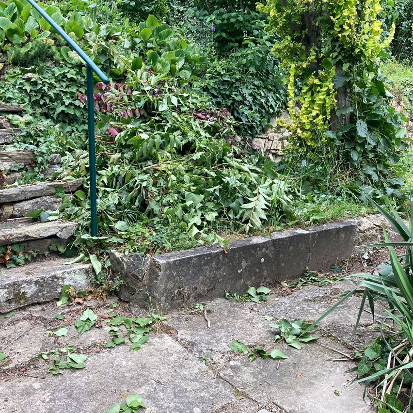 Bild enthält, Garden, Nature, Outdoors, Herbal, Plant, Agavaceae, Vegetation, Path, Backyard, Handrail