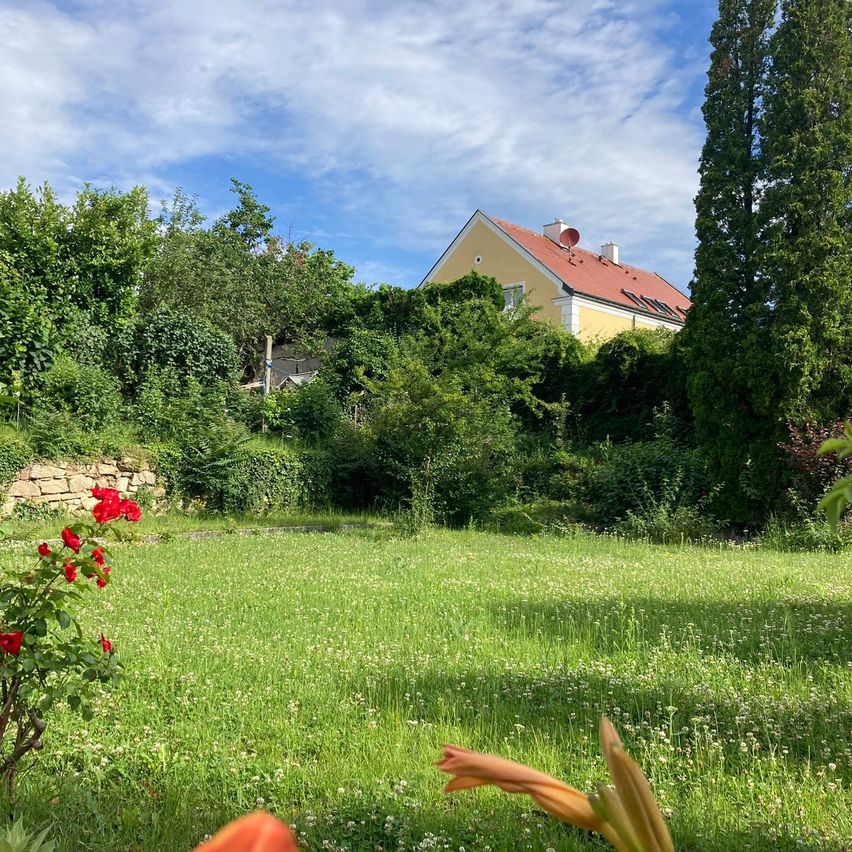 Bild enthält, Grass, Outdoors, Shelter, Grassland, Nature, Tree, Vegetation, Cottage, Pasture, Meadow