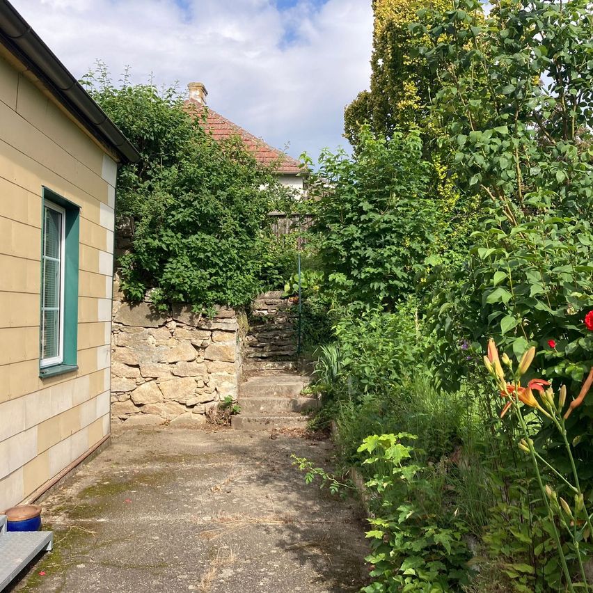 Bild enthält, City, Street, Path, Cottage, Herbal, Shelter, Garden, Vegetation, Walkway, Backyard