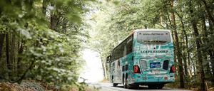 Bild enthält, Bus, Transportation, Vehicle, Tour Bus