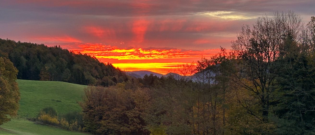 Sonnenuntergang über einer üppigen grünen Wiese, leuchtende rote und orangefarbene Farbtöne malen den Himmel, mit Bäumen und fernen Bergen, die eine friedliche Landschaft bilden.