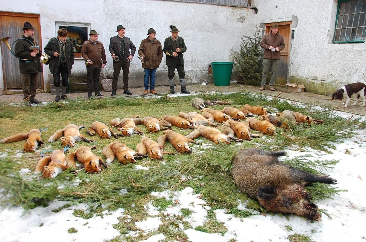 Eine Gruppe von Männern in Mänteln und Hüten steht um einen Haufen Füchse und einen Wildschwein auf verschneietem Gras. Ein Mann hält eine Flasche.