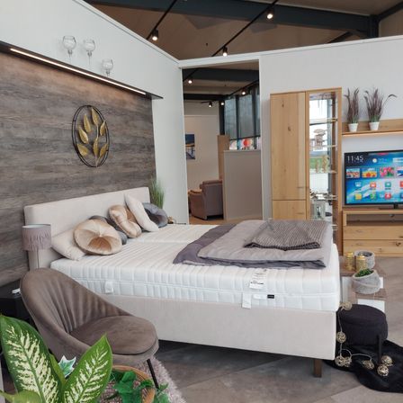 Ein modernes Schlafzimmer-Interieur mit einem großen Bett, dekorativen Kissen und einer Lampe. Ein Fernseher ist an der Wand montiert, und ein Schrank mit Pflanzen ist im Hintergrund.