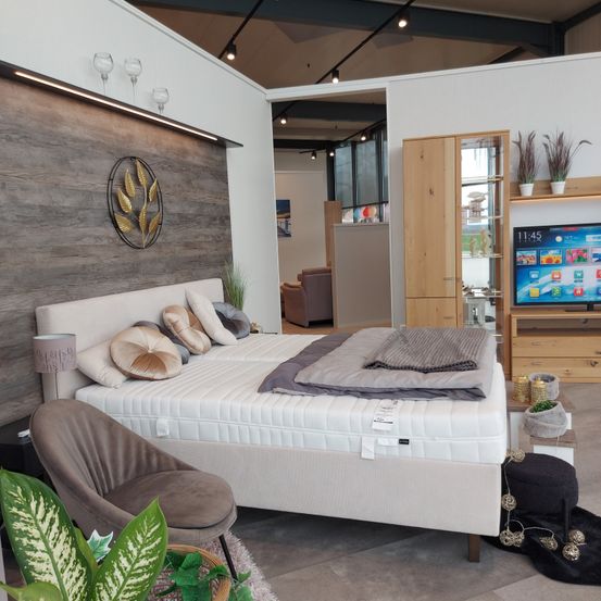 Ein modernes Schlafzimmer-Interieur mit einem großen Bett, dekorativen Kissen und einer Lampe. Ein Fernseher ist an der Wand montiert, und ein Schrank mit Pflanzen ist im Hintergrund.