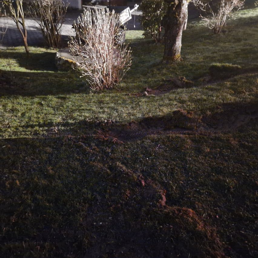 Ein Rasenbereich mit einem geparkten Fahrzeug in der Nähe eines Hauses, umgeben von kahlen Bäumen und Sträuchern. Die Schatten auf dem Boden deuten auf Tageszeit hin.