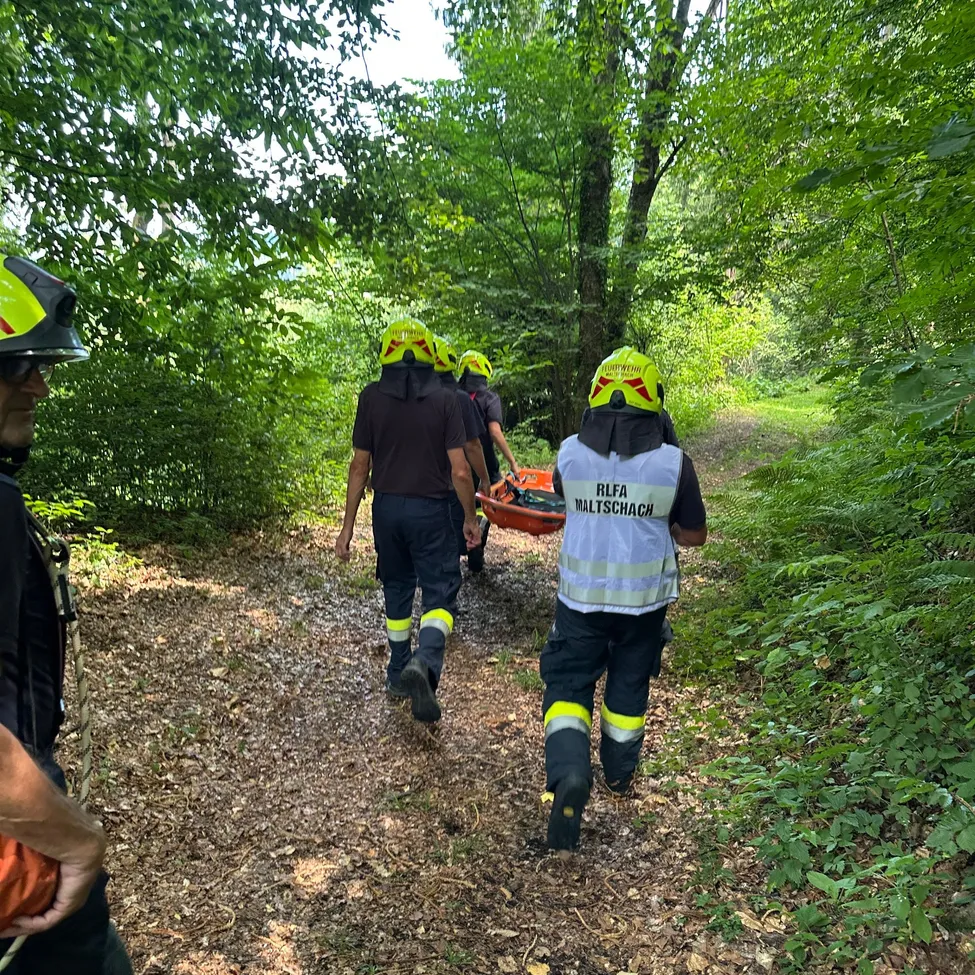 Eine Gruppe von Feuerwehrleuten in gelben Helmen trägt eine Trage durch ein bewaldetes Gebiet.