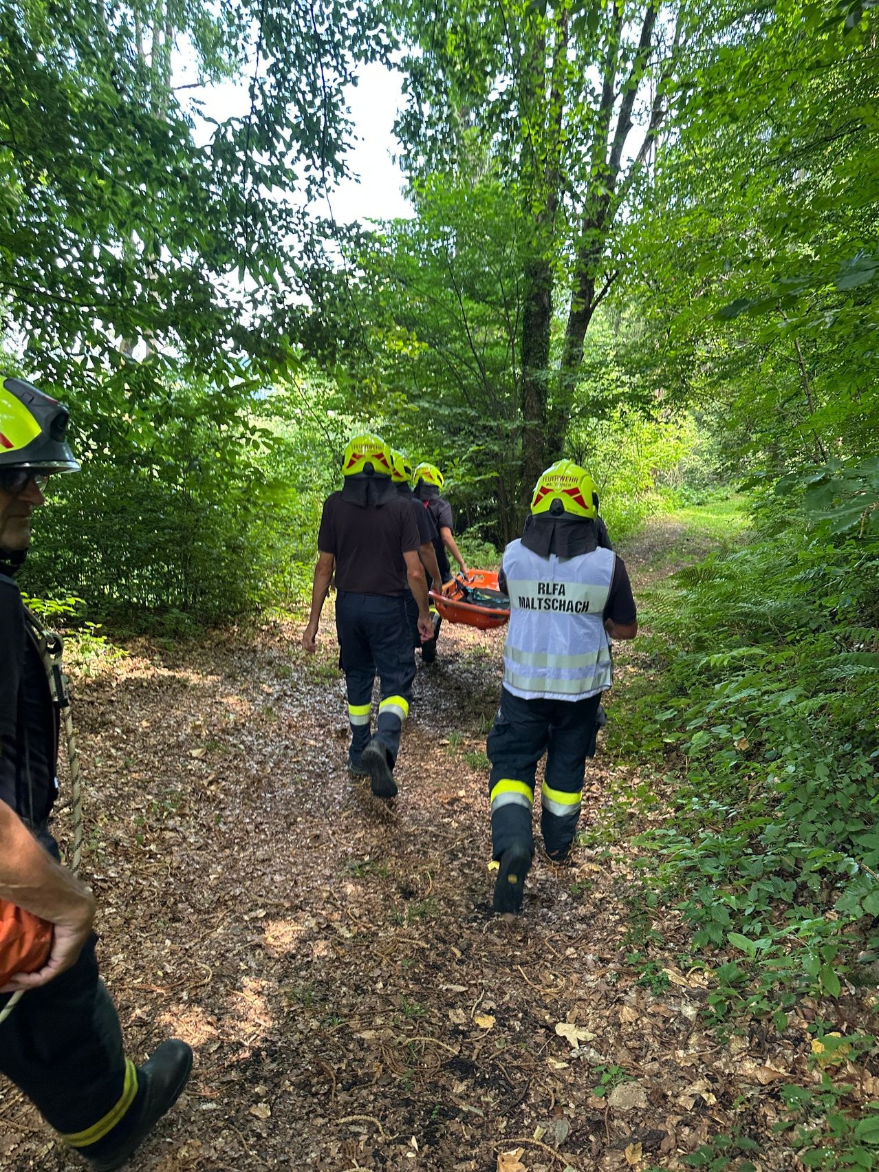 Eine Gruppe von Feuerwehrleuten in gelben Helmen trägt eine Trage durch ein bewaldetes Gebiet.
