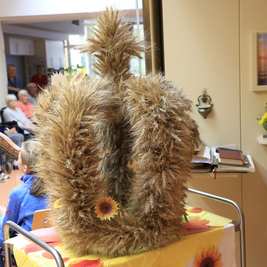 Bild enthält, Flower, Flower Arrangement, Plant, Flower Bouquet, Chair, Person, Wood, Plywood, Hospital, Shoe