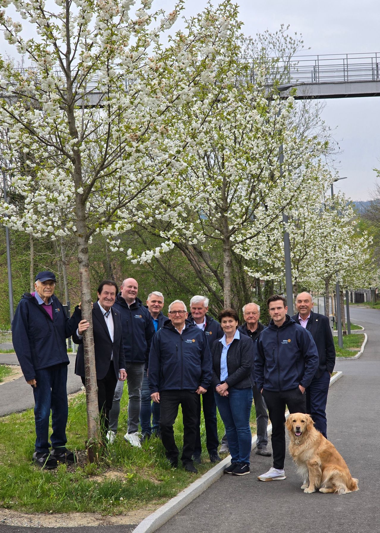 A group of people in matching navy blue jackets pose for a photo in a garden with white flowering trees. A golden retriever stands beside them.