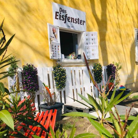 v1_migrated_image_44009195