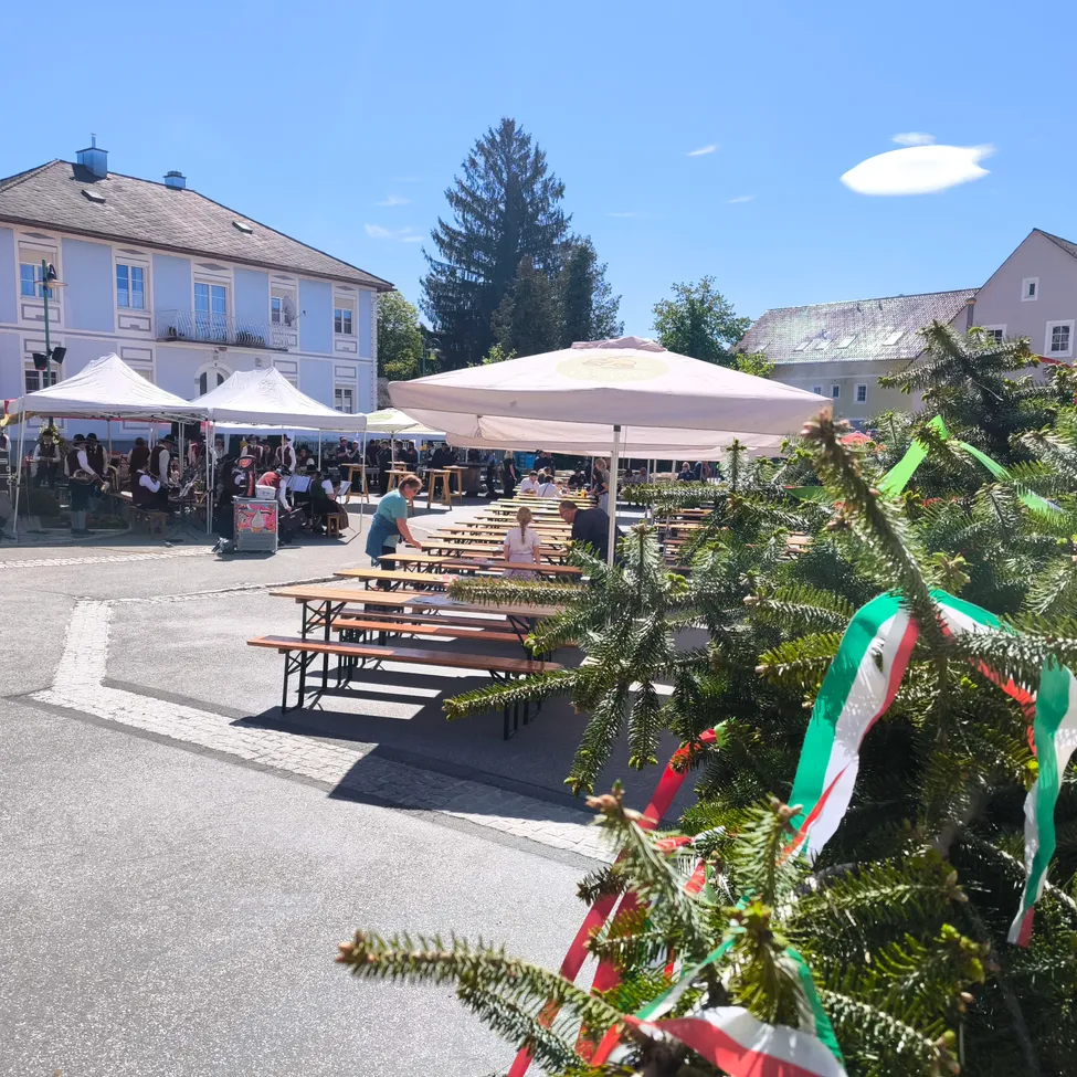 Ein Freiluftbereich mit einer großen Gruppe von Menschen, Bänken, Tischen und weißen Sonnenschirmen. Ein hoher Baum mit grünen, roten und weißen Bändern ist im Vordergrund. Ein weißes Gebäude und Bäume sind im Hintergrund.
