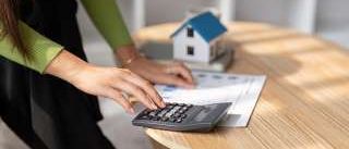 Bild enthält, Furniture, Table, Electronics, Adult, Female, Person, Woman