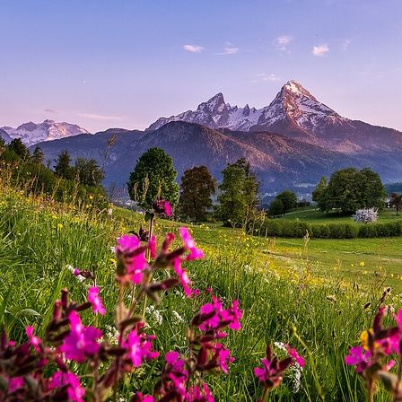 Eine farbenfrohe Wiese mit bunten Blumen und einer Bergkette im Hintergrund bei Sonnenuntergang.