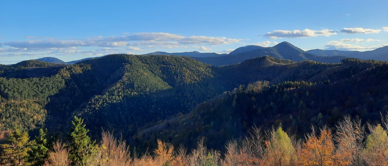 Ein Panoramablick auf eine Bergkette unter einem klaren blauen Himmel. Die Berge sind mit Herbstbäumen bedeckt und zeigen eine Mischung aus grünen und orangefarbenen Farbtönen.