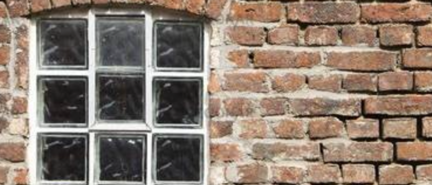 v1_migrated_image_40503461