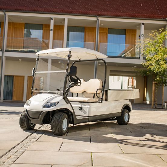 Bild enthält, Machine, Wheel, Transportation, Vehicle, Golf, Golf Cart, Sport, Car