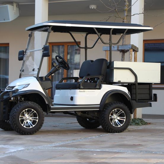 Bild enthält, Machine, Wheel, Transportation, Vehicle, Golf, Golf Cart, Sport, Car