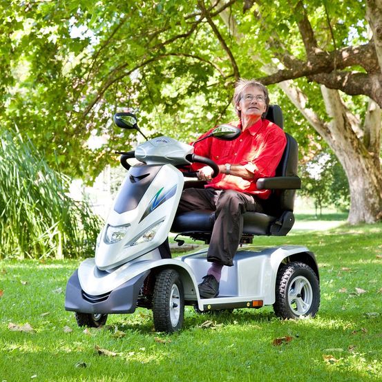 Bild enthält, Grass, Lawn, Park, Adult, Female, Person, Woman, Tree, Wheel, Portrait