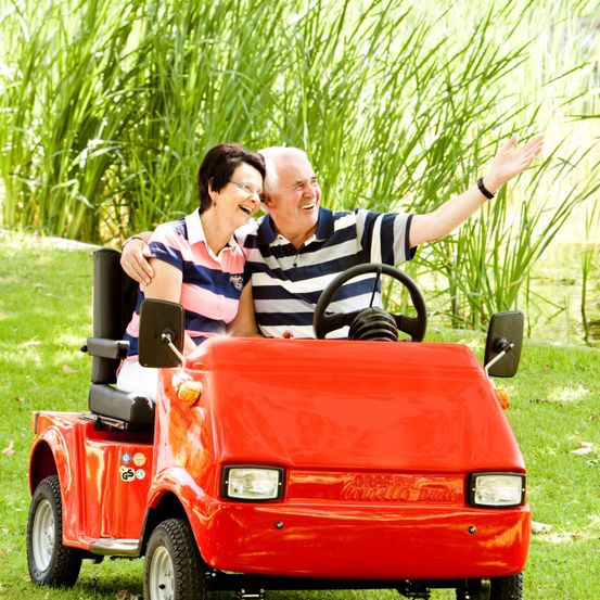 Bild enthält, Grass, Lawn, Person, Portrait, Wheel, Adult, Female, Woman, Car, Vehicle