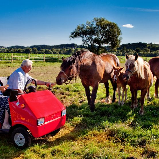Bild enthält, Field, Grassland, Nature, Outdoors, Pasture, Ranch, Adult, Male, Man, Person