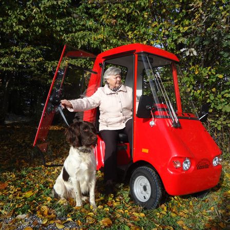 Bild enthält, Person, Photography, Portrait, Dog, Grass, Adult, Male, Man, Spoke, Tree
