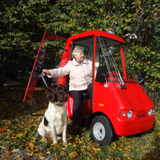 Bild enthält, Person, Photography, Portrait, Dog, Grass, Adult, Male, Man, Spoke, Tree