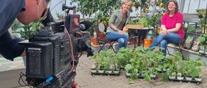 Bild enthält, Garden, Nature, Outdoors, Potted Plant, Gardening, Female, Girl, Person, Teen, Man