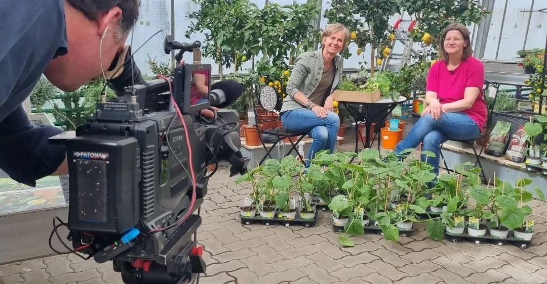 Bild enthält, Garden, Nature, Outdoors, Potted Plant, Gardening, Female, Girl, Person, Teen, Man