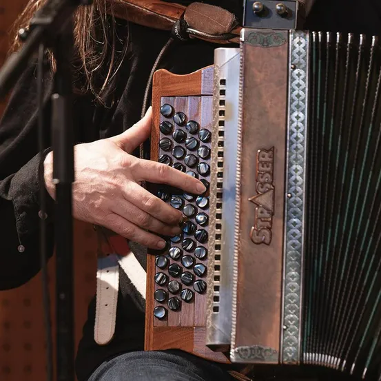 Musical Instrument, Accordion, Person