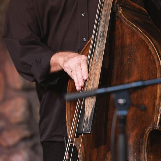 Bild enthält, Cello, Musical Instrument, Adult, Male, Man, Person