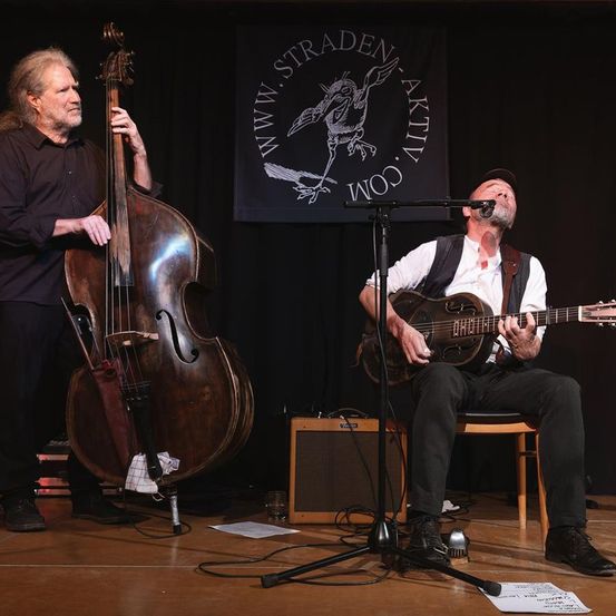 Bild enthält, Guitar, Musical Instrument, Adult, Male, Man, Person, Performer, Music, Musician, Guitarist