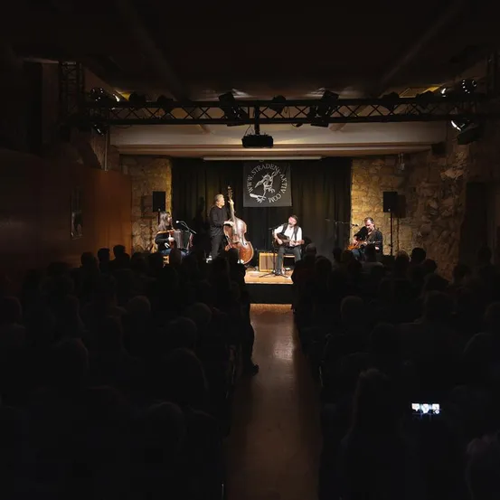 Indoors, Theater, Concert, Person, Building, Auditorium, People, Solo Performance, Stage, Urban