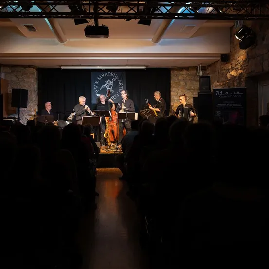 Concert, Crowd, Person, Stage, People, Indoors, Theater, Group Performance, Music Band, Urban