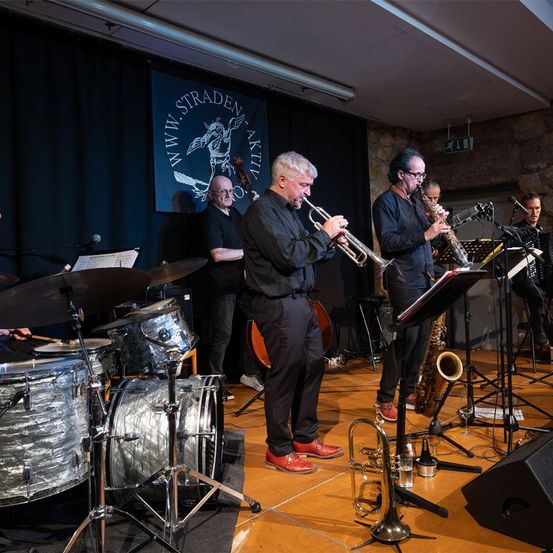 Bild enthält, Group Performance, Music, Music Band, Musical Instrument, Musician, Person, Adult, Male, Man, Concert