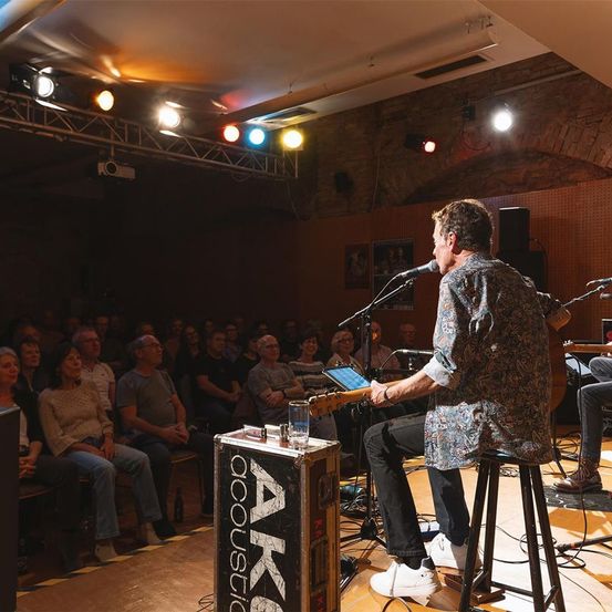 Bild enthält, Adult, Female, Person, Woman, Male, Man, Concert, Crowd, Musician, Performer