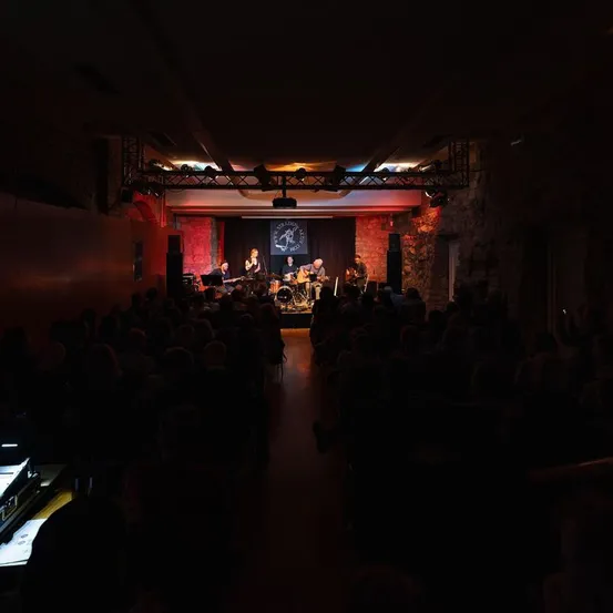 Indoors, Theater, Concert, Crowd, Person, Cinema, Auditorium, Urban, Group Performance, Stage