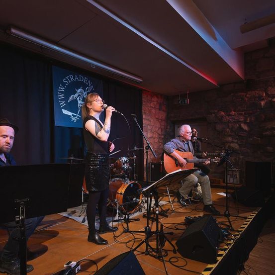 Bild enthält, Group Performance, Music, Music Band, Musician, Performer, Person, Adult, Male, Man, Singing