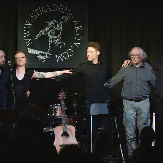 Bild enthält, Microphone, Adult, Male, Man, Person, Concert, People, Stage, Guitar, Group Performance