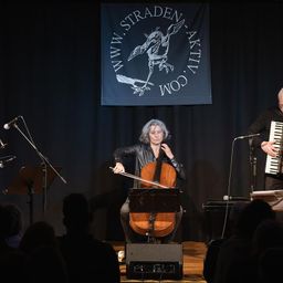 Bild enthält, Concert, Person, Adult, Male, Man, Female, Woman, Group Performance, Musical Instrument, Performer