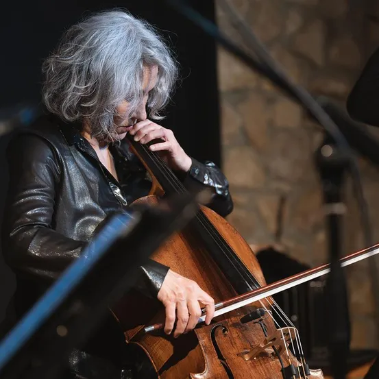Cello, Musical Instrument, Adult, Male, Man, Person, Face, Performer, Solo Performance, Sword