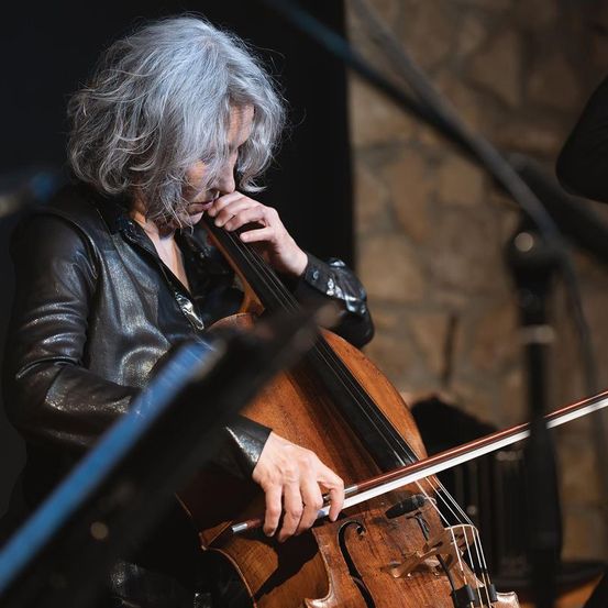 Bild enthält, Cello, Musical Instrument, Adult, Male, Man, Person, Face, Performer, Solo Performance, Sword